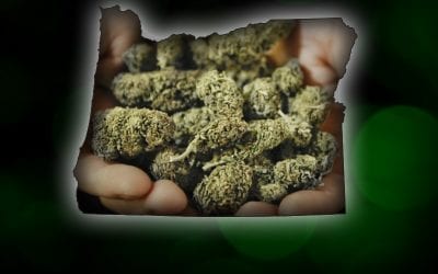 Oregon Becomes 3rd State to Legalize Recreational Marijuana