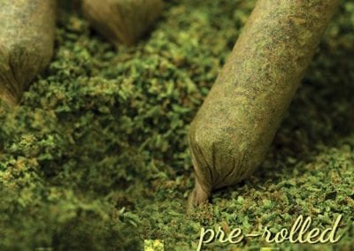 Digital 303 Cannabis Branding and Photography: Pre-rolled joints At Oasis Cannabis Superstores